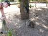 TerApel 023_small.jpg
